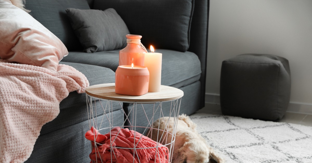 A small dog sitting near a couch and table that has burning candles on top and soft blankets underneath.