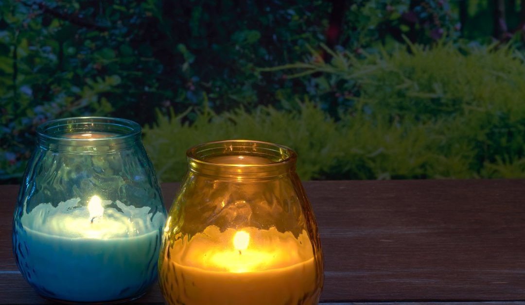 Blue and yellow citronella candles are lit in a garden during late evening outdoor use. They're sitting on a wooden surface.
