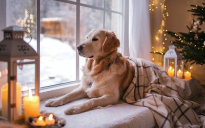 Pet- and Toddler-Proof Home Decor Ideas With Safe Candles